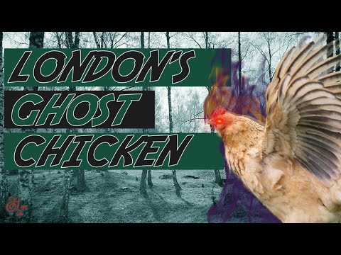 The Ghost Chicken of London