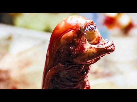 The Iconic Chestburster Scene - ALIEN (1979) Movie Clip