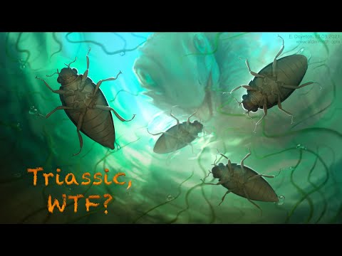 Triamyxa – The Butt-Borne Bog Beetle | Triassic, WTF?