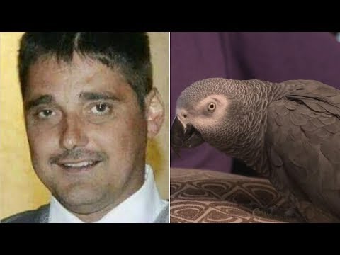 Parrot Was Key &#039;Witness&#039; in Murder Trial as Woman Is Convicted of Killing Husband