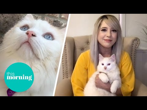 I Cloned My Dead Cat | This Morning