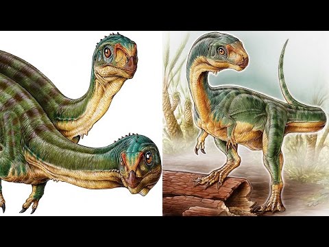Chilesaurus diegosuarezi – the “platypus” dinosaur