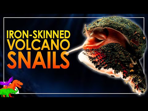 Iron-Armored Deepsea Scaly-Foot Snails - Most Metal Mollusk | Animals EXPLAINED