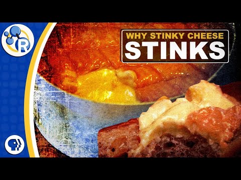 Why Does Stinky Cheese Stink?