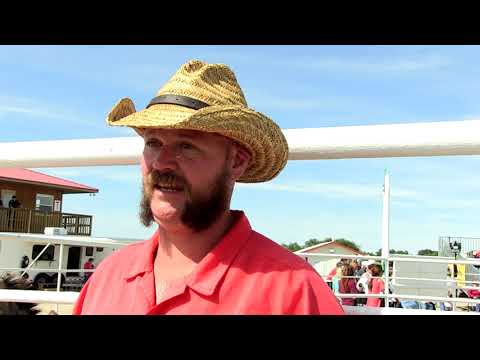 ワイオミング州の馬プログラム