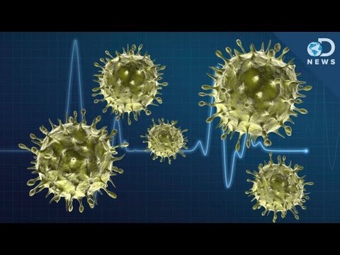 Top 10 Viral Facts About Viruses - 40