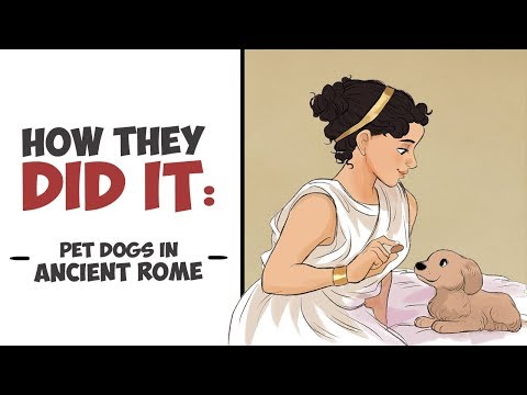 How They Did It - Pet Dogs in Ancient Rome