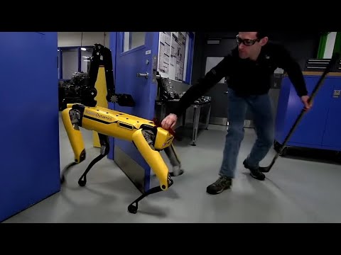Human v robot dog: Boston Dynamics takes on its door-opening SpotMini