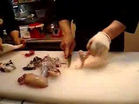 Food: Cutting of Blowfish (Fugu) in Japan