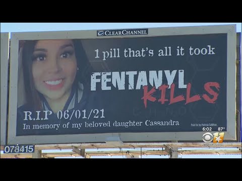 North Texas Mother Rents Billboard With Deceased Daughter&#039;s Photo Telling Everyone &#039;Fentanyl Kills&#039;