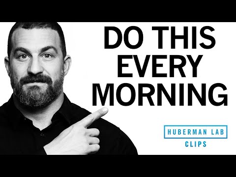 How to Feel Energized &amp; Sleep Better With One Morning Activity | Dr. Andrew Huberman