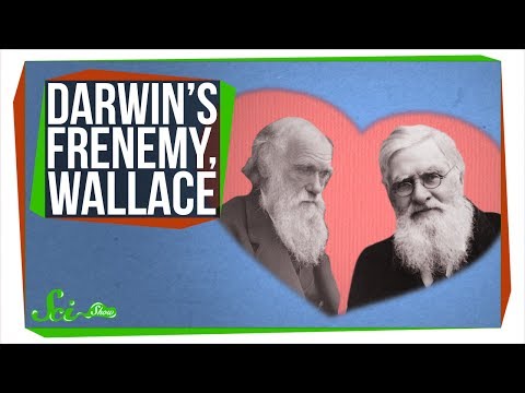 Wallace, Darwin&#039;s Forgotten Frenemy