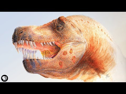 10 Fascinating Peeks Into The Daily Lives Of Dinosaurs - 96