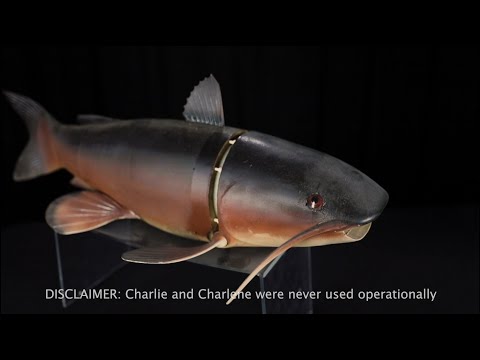The Debrief: Behind the Artifact - Charlie the Fish