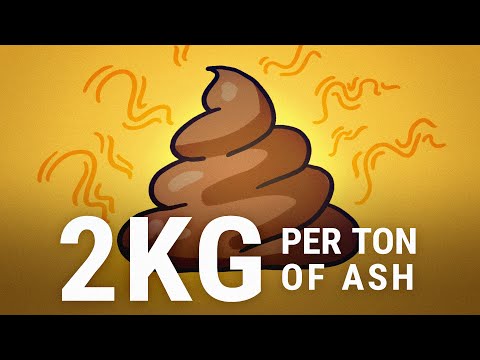How Much Gold is in Our Poop?