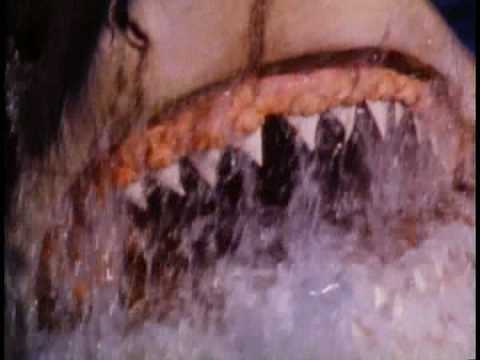 JAWS: The Revenge Trailer HQ