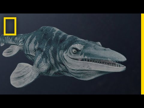 Mosasaurs 101 | National Geographic