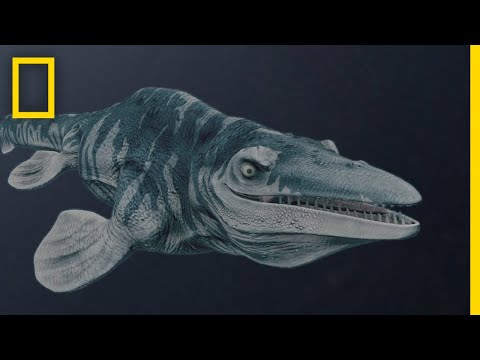 10 Weird Critters That Lived Alongside the Dinosaurs - 99