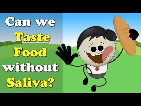 Can we Taste Food without Saliva? + more videos | #aumsum #kids #science #education #children