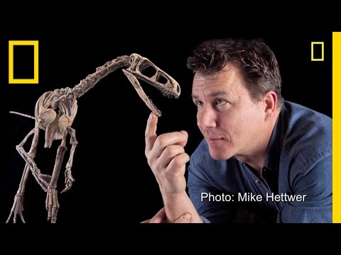 Fast, &quot;Nasty&quot; Little Dinosaur Discovered | National Geographic