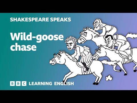 🎭 Wild-goose chase - Learn English vocabulary &amp; idioms with &#039;Shakespeare Speaks&#039;