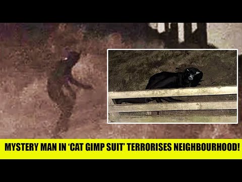 UK Locals Left TERRIFIED As Mystery Man In ‘Cat Gimp Suit’ Terrorises Neighbourhood!