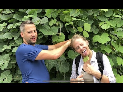 Teal from Naked and Afraid foraging for Kudzu. Quest For Survival Knowledge S1 Ep 8
