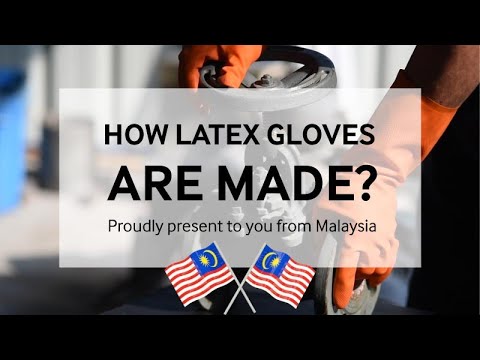 How Latex Gloves Are Made? Genuine Shoot From Malaysia Glove Manufacturer
