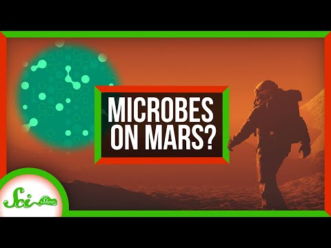 Microbes Might Survive on Mars | SciShow News