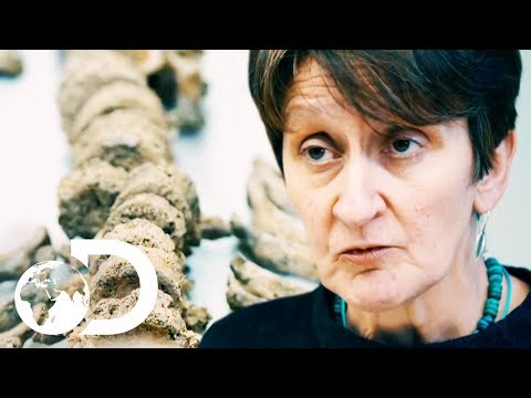 Shocking Human Remains Found Beneath Stonehenge! | Blowing Up History