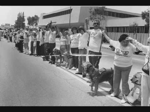 Hands Across America A Tribute