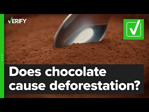 Yes, the cocoa industry does cause deforestation