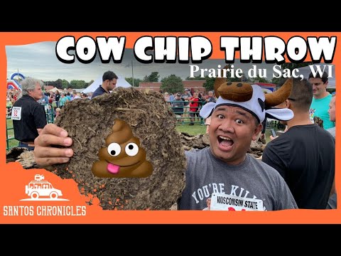 Cow Chip Throw Festival: Chips Happen