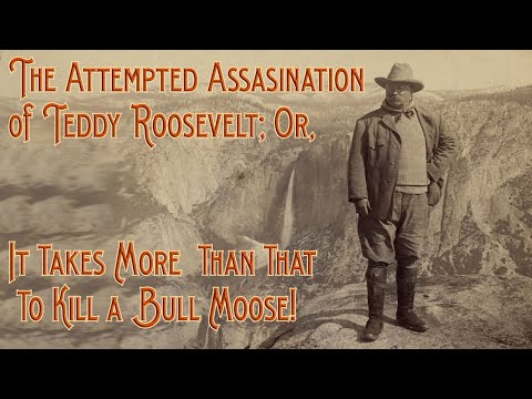 The Attempted Assassination of Theodore Roosevelt; Or, It Takes More Than That to Kill a Bull Moose!