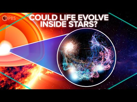 Could Life Evolve Inside Stars?