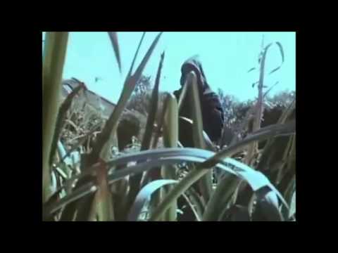 The Spirit Of Dark And Lonely Water (Public Information Film 1973)