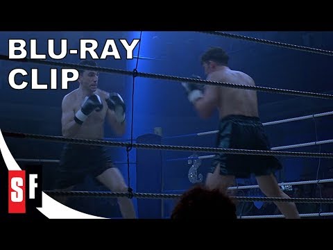 The Boxer (1997) - Clip: The Celtic Tiger (HD)