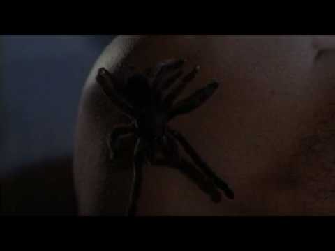 10 Creepiest Spiders in Movies - 87