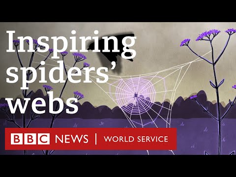 10 Human Innovations Inspired by Spiders - 99