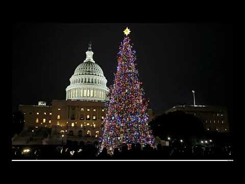 Most Amazing Christmas Trees Around the World