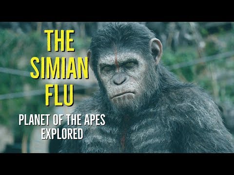 The SIMIAN FLU (The PLANET of the APES Explored)