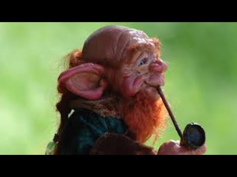 The Strange Tale Of The Carlingford Leprechauns