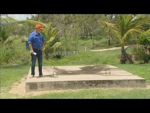 Mango Mystery: Seven-tonne fruit disappears in Australia