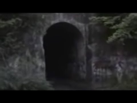 Haunted Screaming Tunnel/ El Túnel de los Gritos