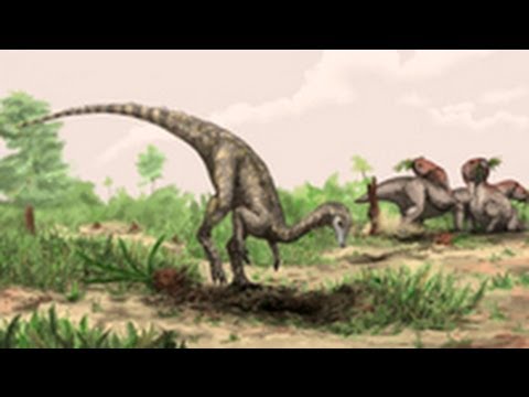 World&#039;s Oldest Known Dinosaur Identified