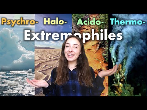 Extremophiles: Organisms That Live in Extremely Cold, Hot, Acidic, or Salty Environments | GEO GIRL