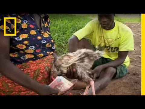 Witches of Ghana | National Geographic