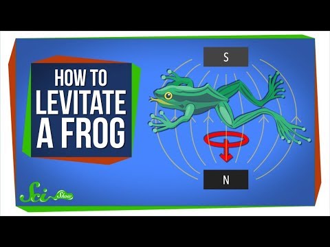 Diamagnetism: How to Levitate a Frog