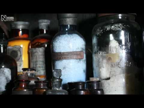 Scott&#039;s hut at Cape Evans | Natural History Museum