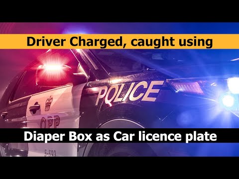Ontario driver charged after diaper box used to make licence plate